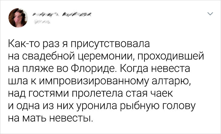 Свадьбы, где все идет не по плану