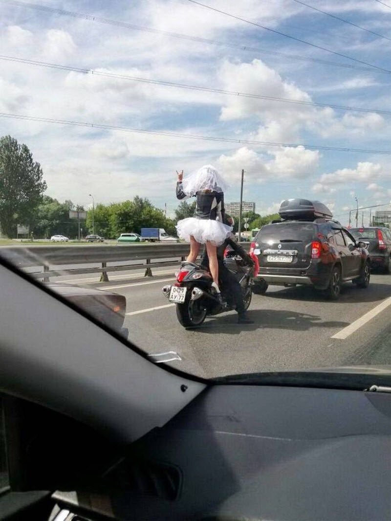 Прикольные картинки