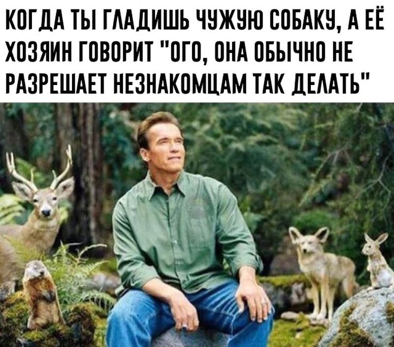 Прикольные картинки