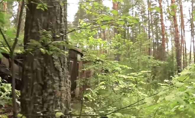 25 лет без людей и связи 25 лет без людей и связи