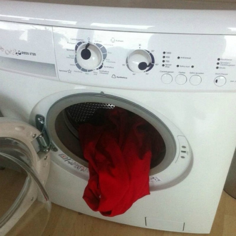Предметы, которые кажутся живыми Предметы, которые кажутся живыми
