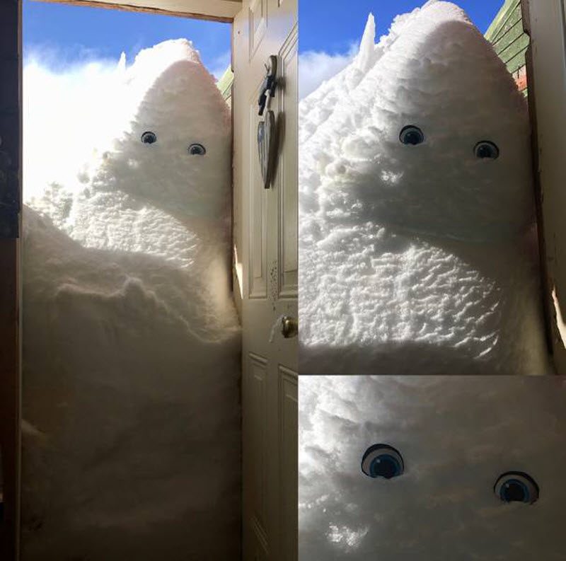 Прикольные картинки