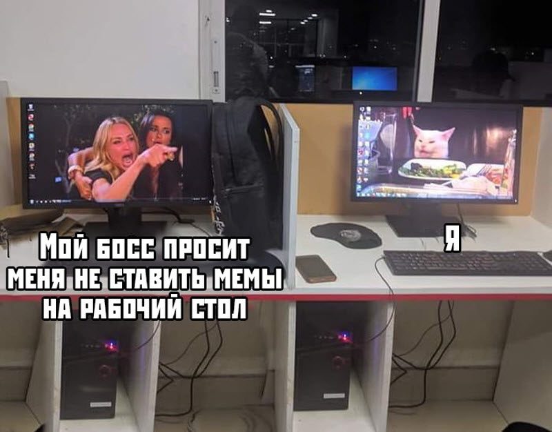 Прикольные картинки