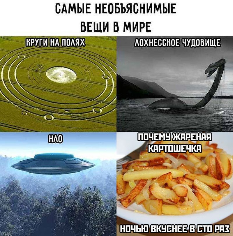 Прикольные картинки