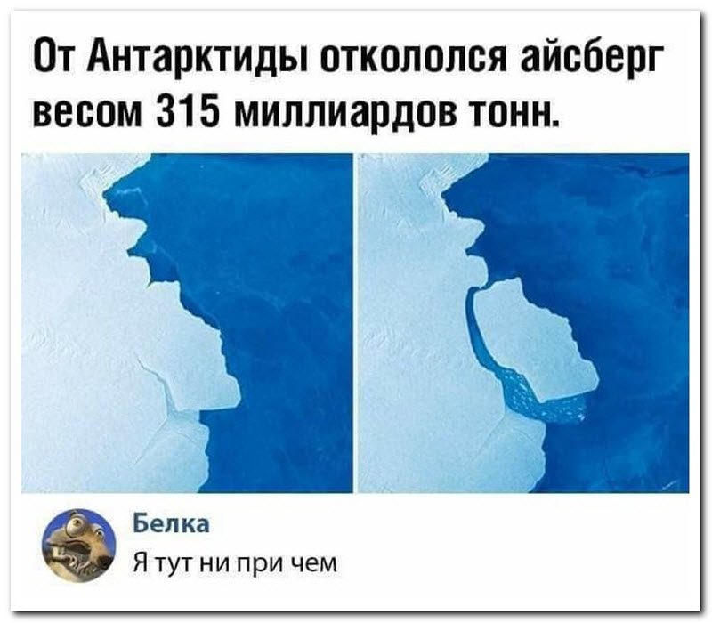 Забавные комментарии из социальных сетей
