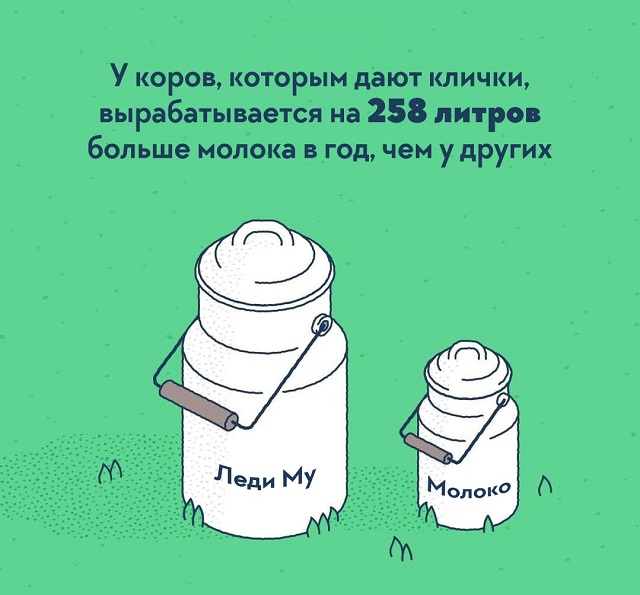 Подборка интересных фактов о нашем мире, которые удивят даже "всезнайку"
