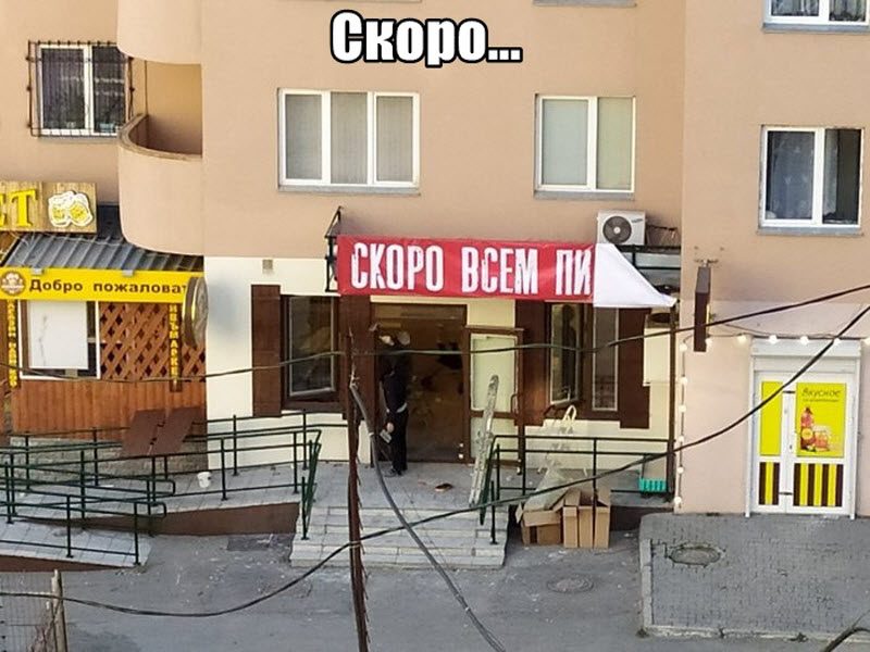 Прикольные картинки