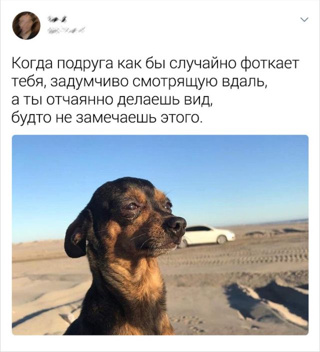 Забавные твиты о женской солидарности