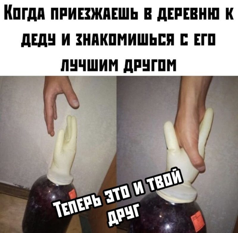 Прикольные картинки