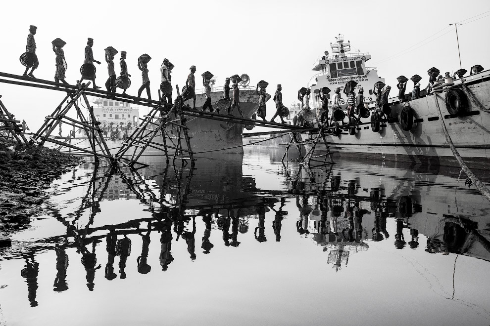Экологический фотограф 2019 года Экологический фотограф 2019 года