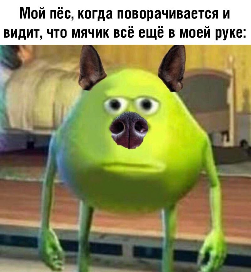 Прикольные картинки