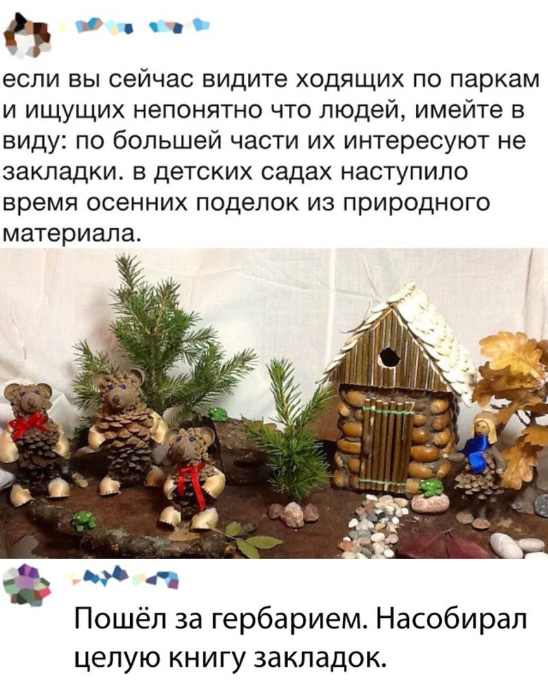 Прикольные картинки
