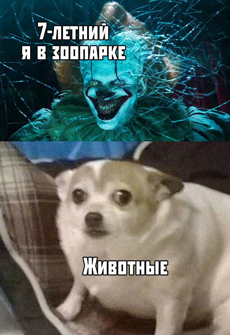Прикольные картинки