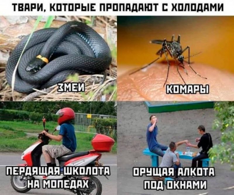 Прикольные картинки