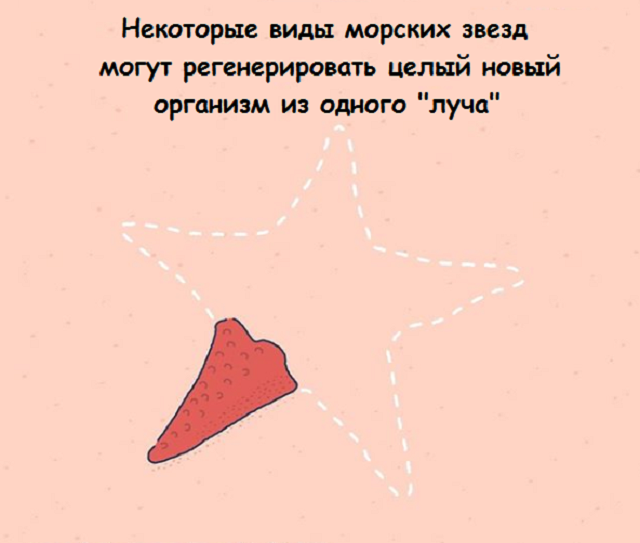 Подборка веселых картинок с занятными фактами обо всем на свете