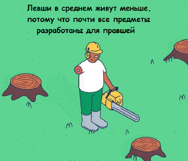 Подборка веселых картинок с занятными фактами обо всем на свете