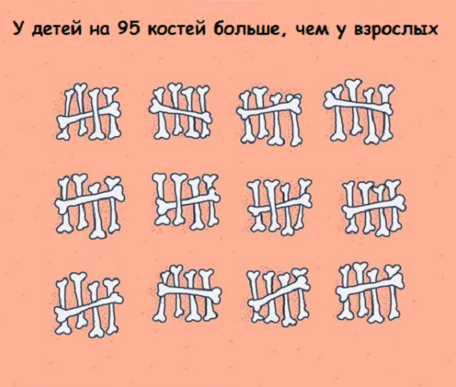 Подборка веселых картинок с занятными фактами обо всем на свете