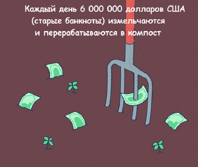 Подборка веселых картинок с занятными фактами обо всем на свете