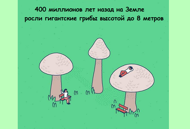 Подборка веселых картинок с занятными фактами обо всем на свете