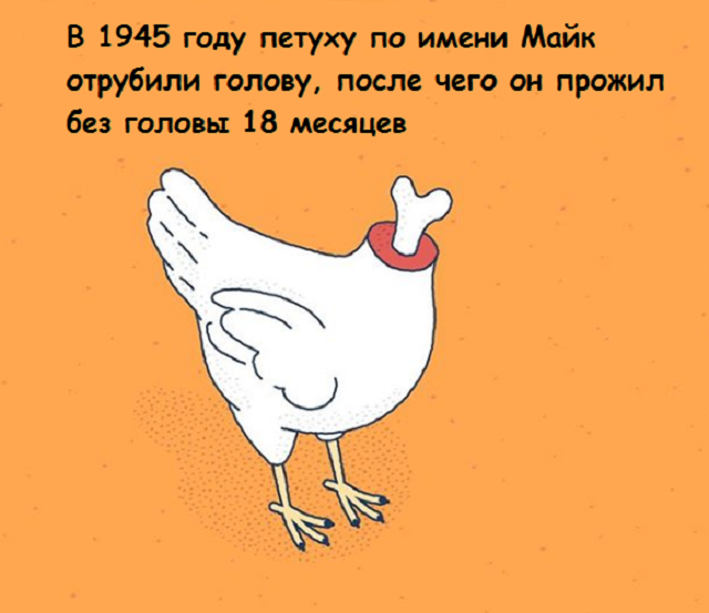Подборка веселых картинок с занятными фактами обо всем на свете