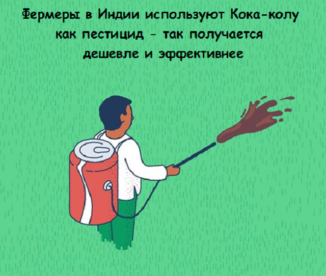 Подборка веселых картинок с занятными фактами обо всем на свете