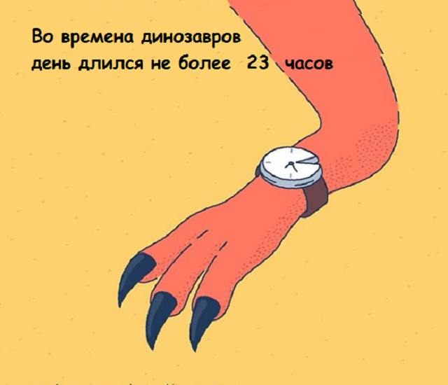 Подборка веселых картинок с занятными фактами обо всем на свете