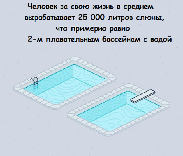 Подборка веселых картинок с занятными фактами обо всем на свете
