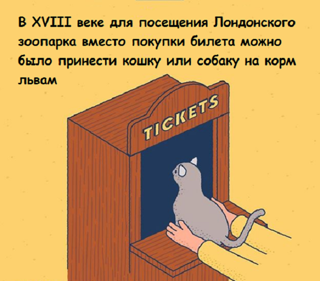 Подборка веселых картинок с занятными фактами обо всем на свете