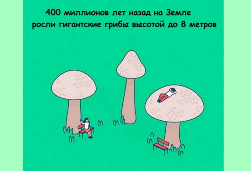Интересные факты в картинках