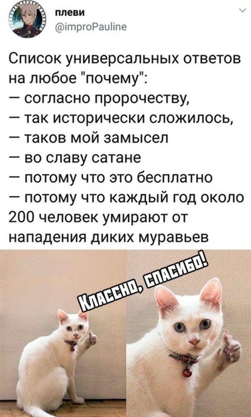 Прикольные картинки