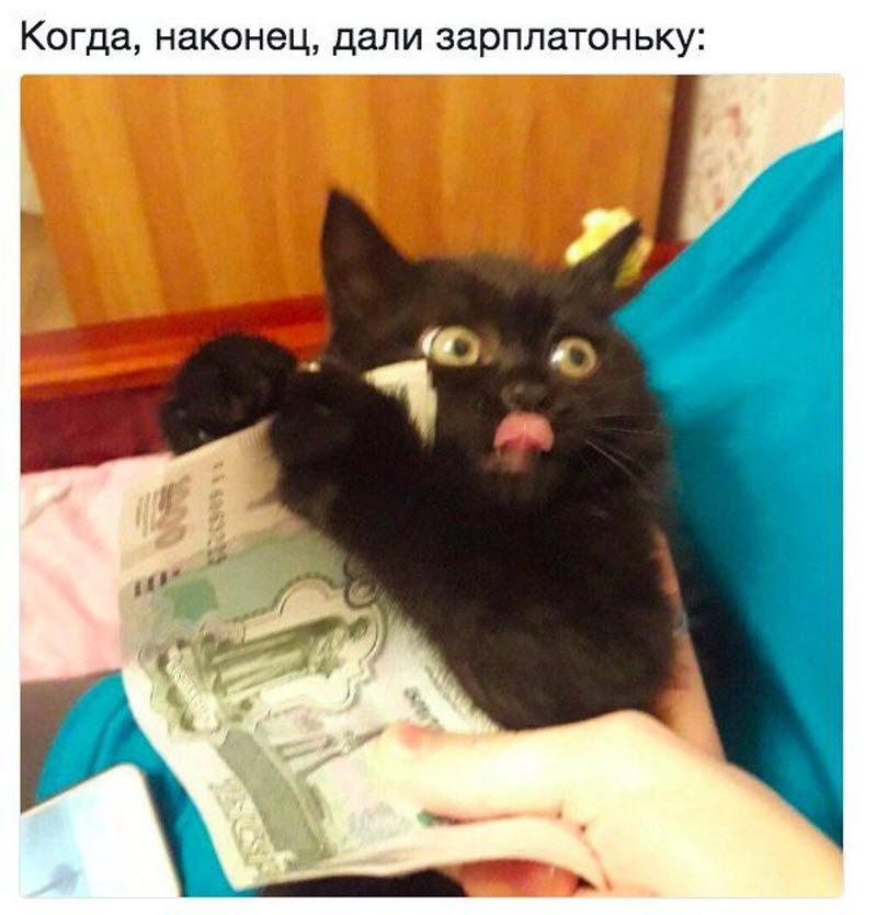Прикольные картинки