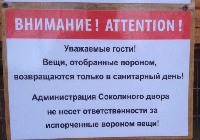 Смешные надписи и объявления, которые вы можете увидеть где угодно