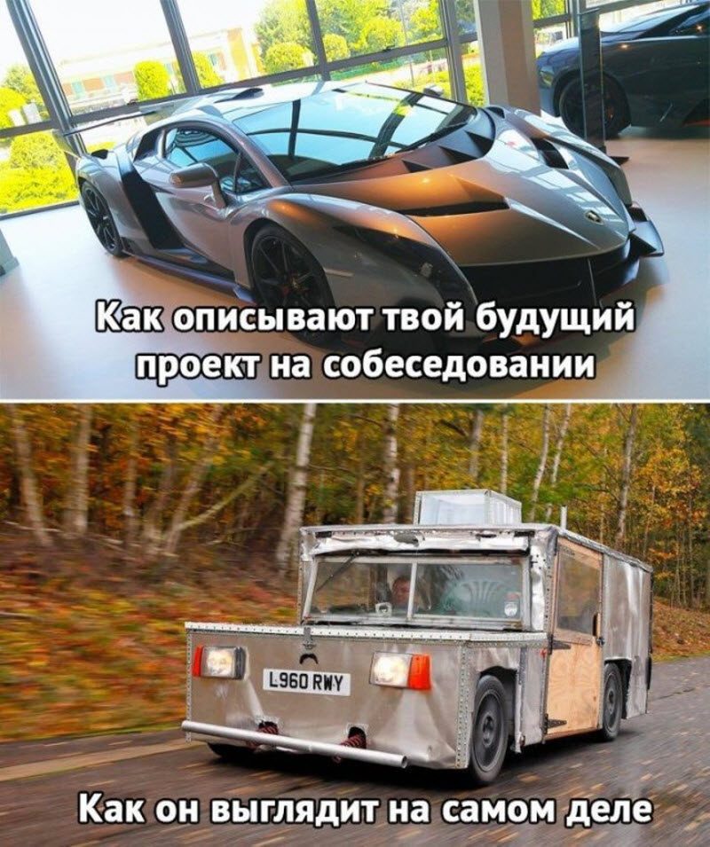 Прикольные картинки