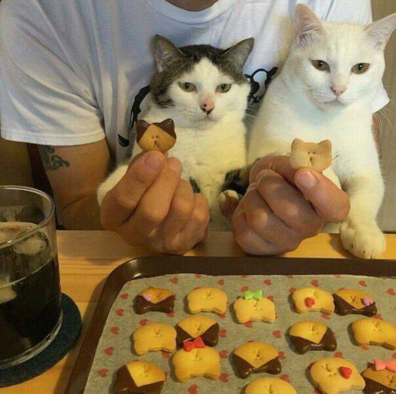 Прикольные картинки