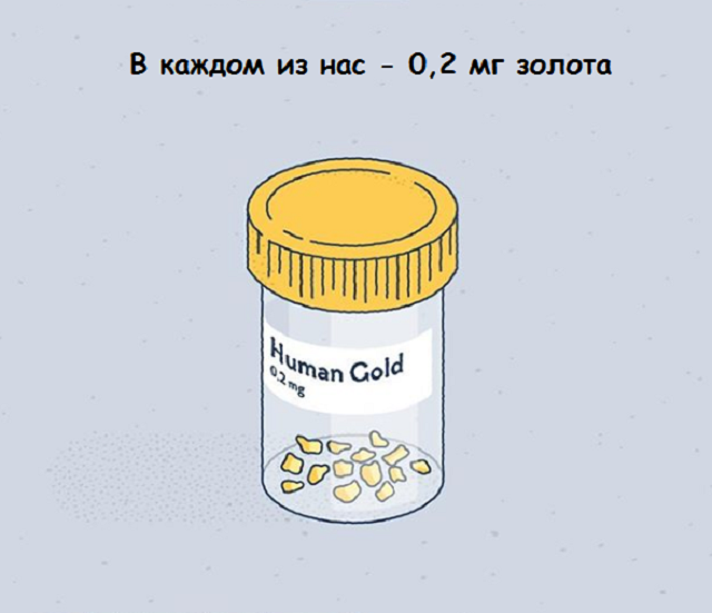 Новая подборка веселых картинок с занятными фактами обо всем на свете