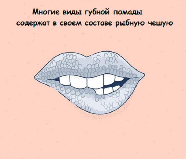 Новая подборка веселых картинок с занятными фактами обо всем на свете