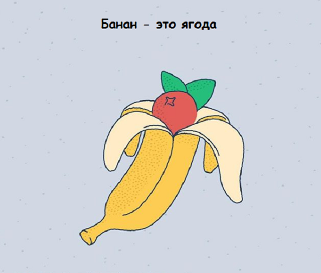 Новая подборка веселых картинок с занятными фактами обо всем на свете