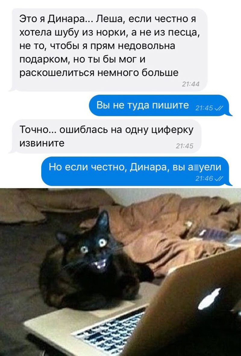 Прикольные картинки