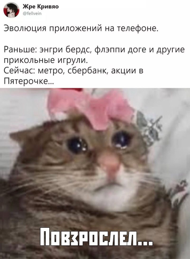 Прикольные картинки
