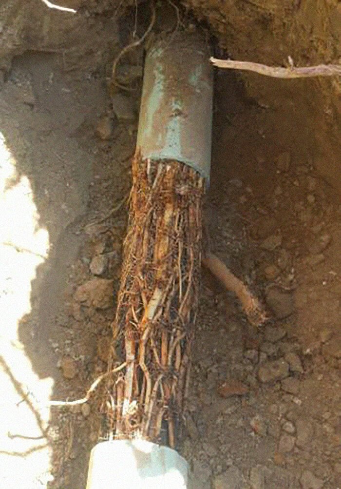 Странные и забавные случаи из жизни сантехника