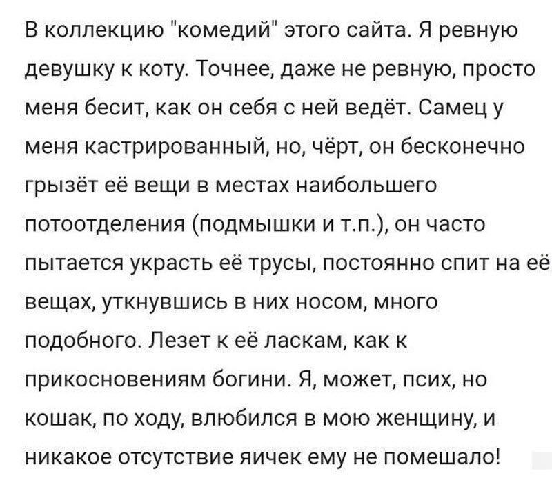 Ревнивая женщина уличит измену лишь взглянув на вашу страничку