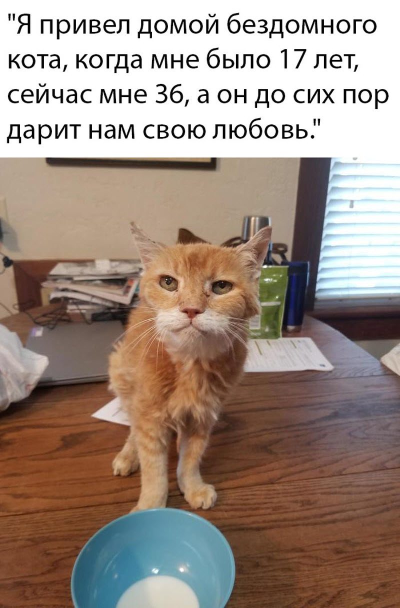 Прикольные картинки