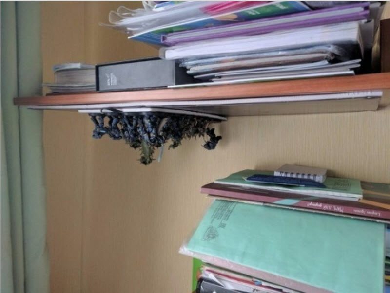 Тонкости хранения: куда пристроить ваши вещи