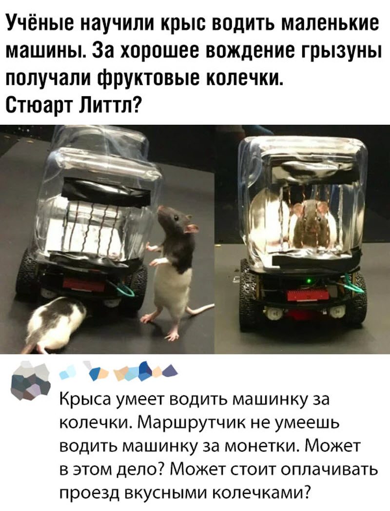 Прикольные картинки