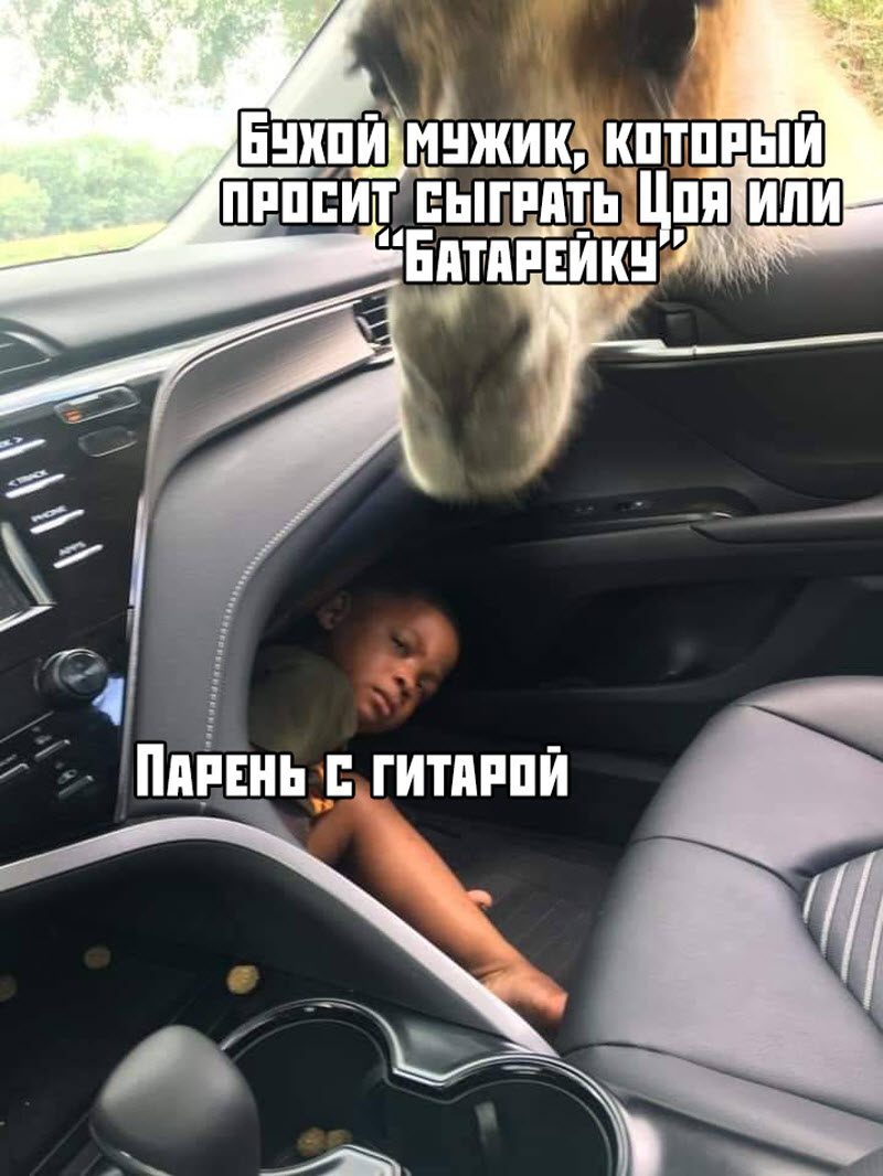 Прикольные картинки
