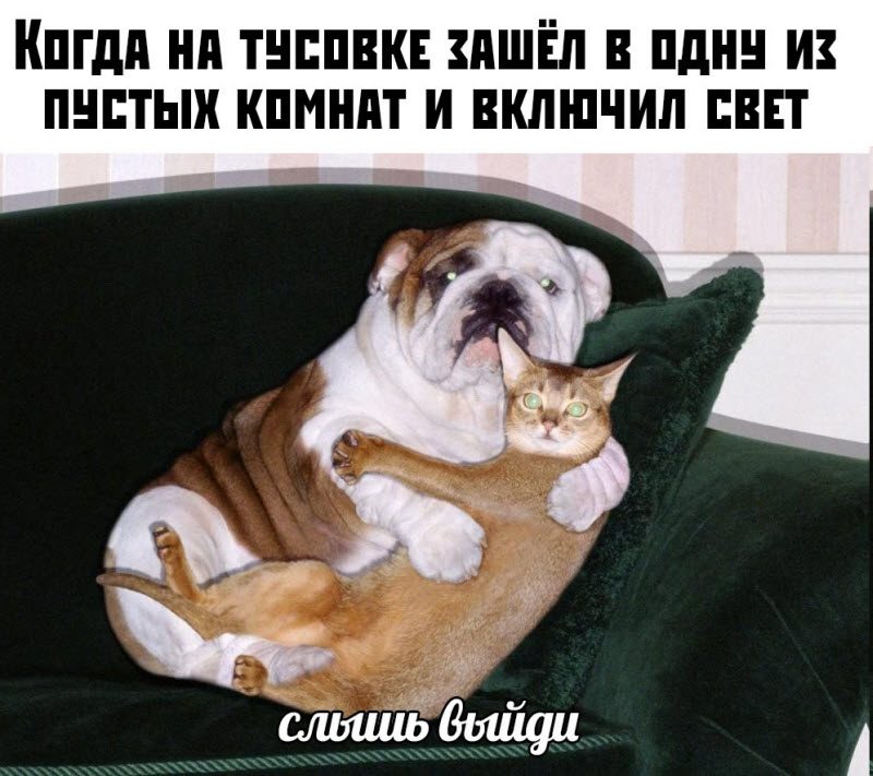 Прикольные картинки