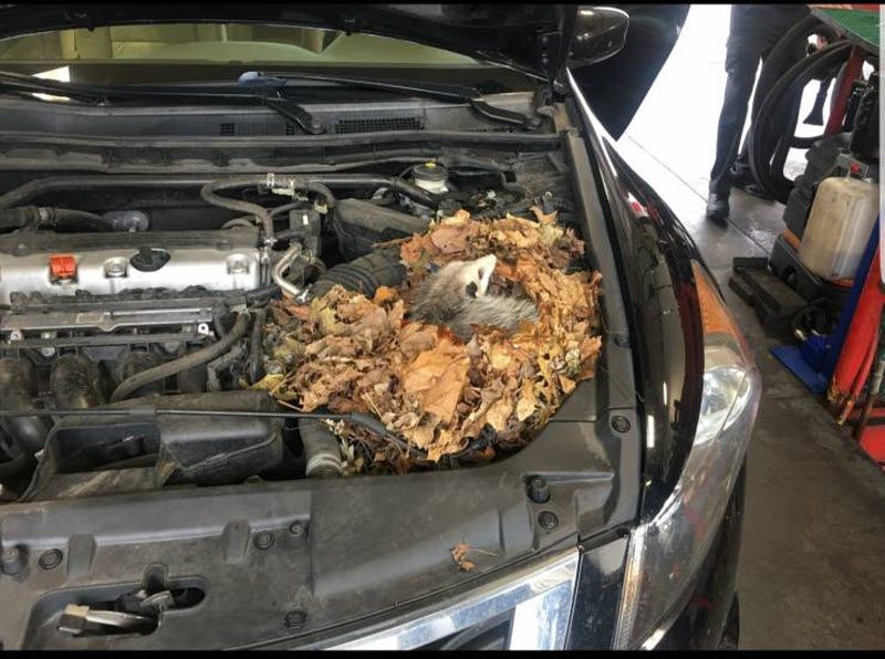 Прикольные картинки