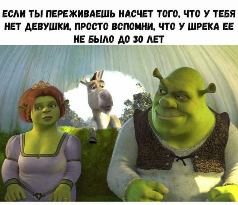 Прикольные картинки