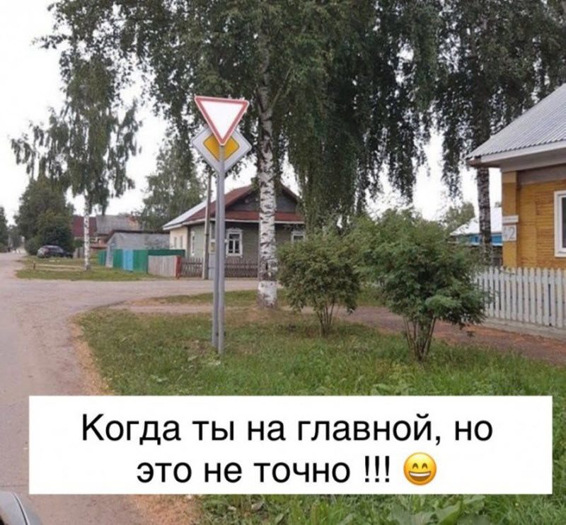 Прикольные картинки