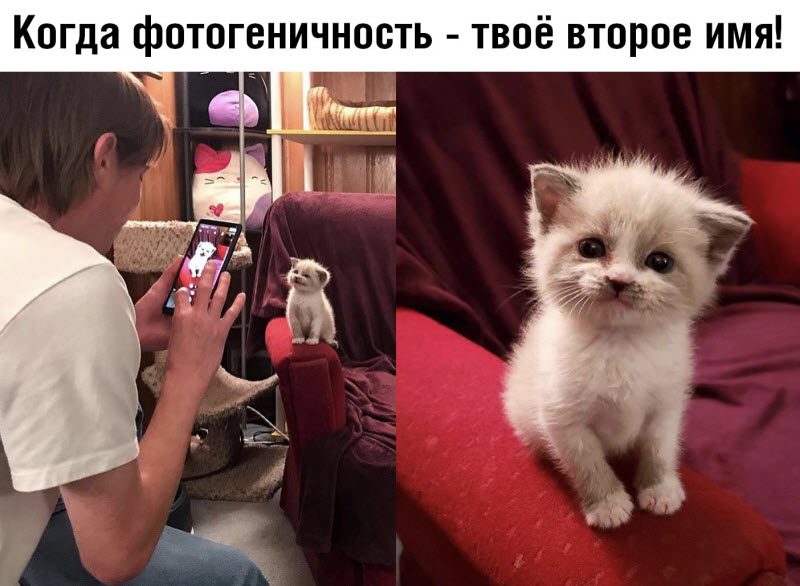 Прикольные картинки